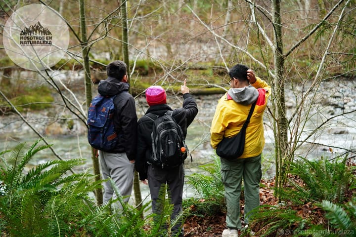 Nosotros En Naturaleza.